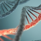 Illustration for article titled Scientists Have Created Alien DNA